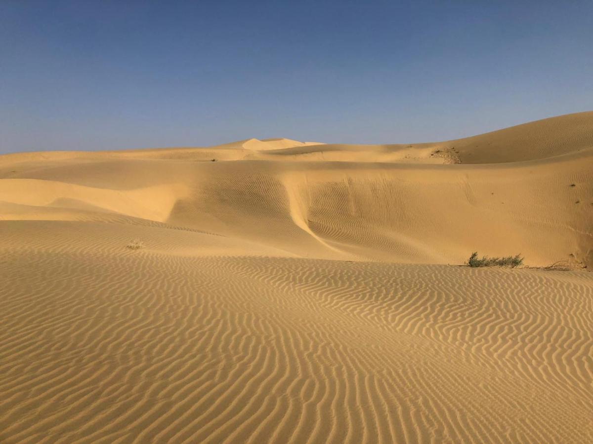 جيلسامر Tofu Hotel & Safari المظهر الخارجي الصورة